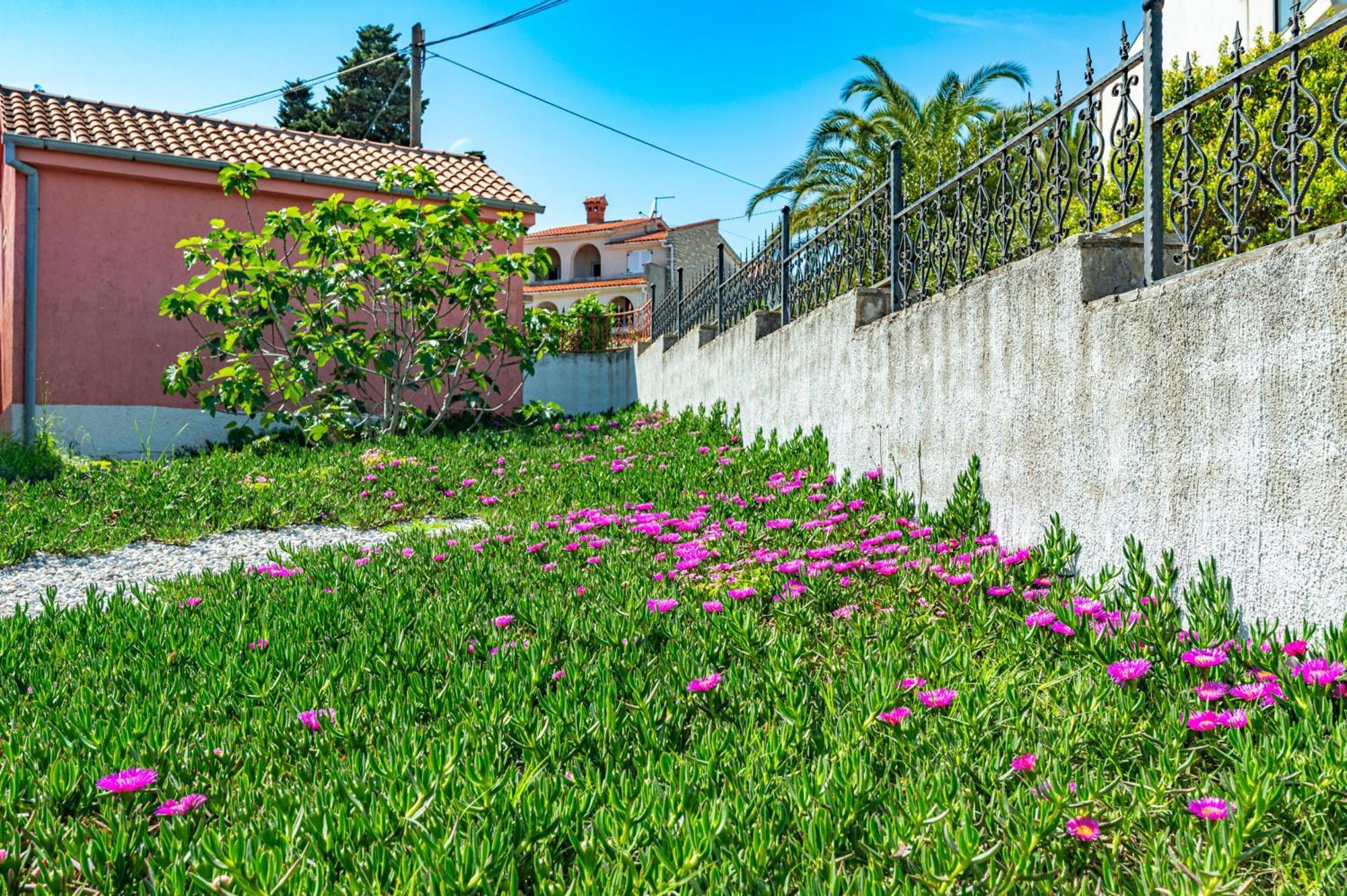 Villa Valentina Premantura Exterior foto